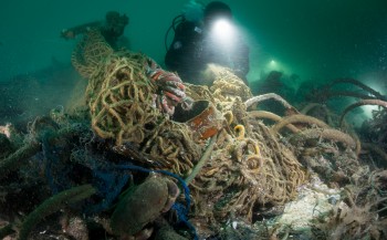 Nieuwe diersoorten en wrak van U-boot gevonden
