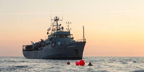 Duikexpeditie brengt Noordzeeriffen in beeld4