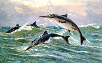 Ichthyosaurus heerste in prehistorische oceaan door goede neus