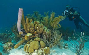 Overwinning bescherming onderwaterpark Bonaire