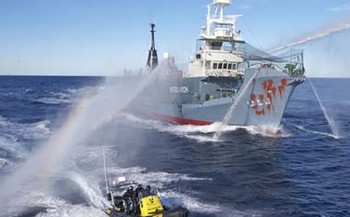 Japan hervat walvisjacht in maart