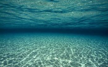 Zuurstofniveau in oceanen gedaald