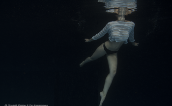 The Underwater Project: kunst tegen afval
