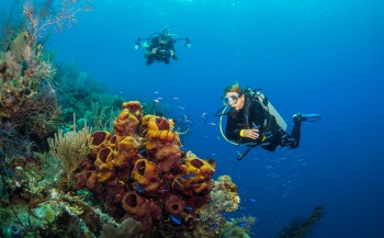 Belize: unbelizable duiken!