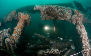Noordzee: Hoeveel wrakken liggen er op de bodem?