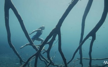Film: Water Born - And here we must run