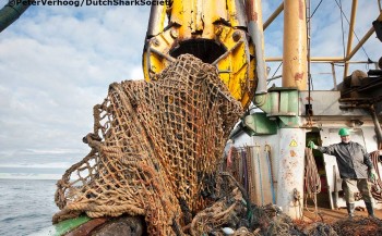 29.000 kg aan netten uit Noordzee gehaald