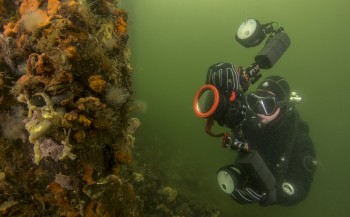 Rene Weterings - Praktijkdag camera special Onderwatersport