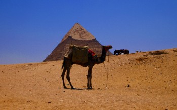 Egypte, land van piramiden en prachtige onderwaterwereld