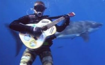 The Great White Shark Song