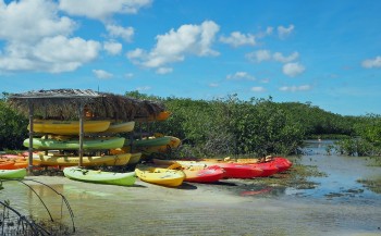 Door de mangroves van Bonaire per kayak en snorkel