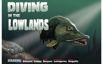 Marcel Thijs - Diving in the Lowlands, part I