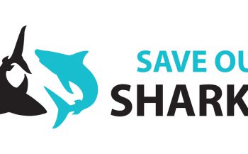Wat is Save Our Sharks?