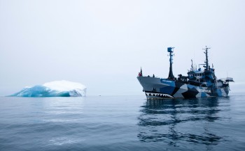 Sea Shepherd staakt fysieke jacht op Japanse walvisvaarders