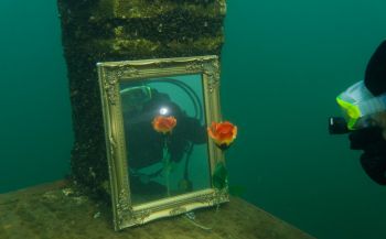 Dit zijn ze - de winnaars van het eerste Limburgs Kampioenschap Onderwaterfotografie