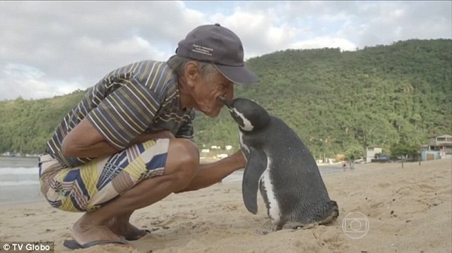 pinguin en redder_Brazilië