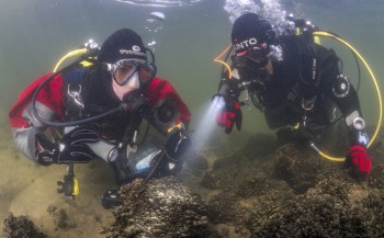 ANEMOON-weekend: help onderwaterleven in kaart te brengen
