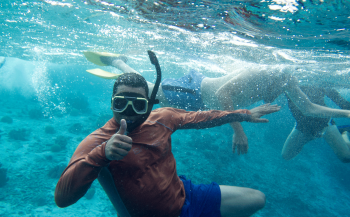 Bonaire, het voorbeeld van haaienbescherming