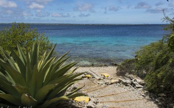 Het behoud van onze verborgen schat  | Bonaire Podcast