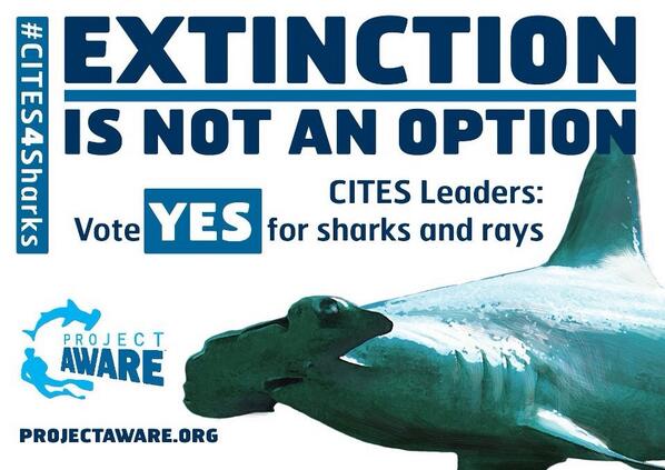 extinction is not an option