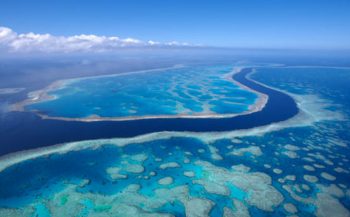 Great Barrier Reef - Voorzichtig herstel?