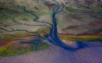 Herstel natuur in delta helpt Nederland beschermen tegen stijgende zeespiegel
