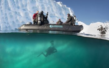 Nature Talks: Met Peter de Maagt naar Arctisch en Antarctisch gebied