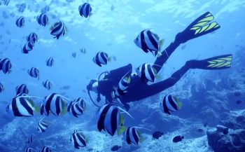 Testimonial: Waarom de Suunto EON Core een geweldige duikcomputer is