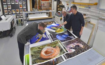 Arca verzorgt prints voor vijfde dynamische foto-expo op Duikvaker