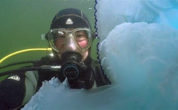Dirk Van den Bergh - 103 duiken in Zeeland samengevat in 13 minuten