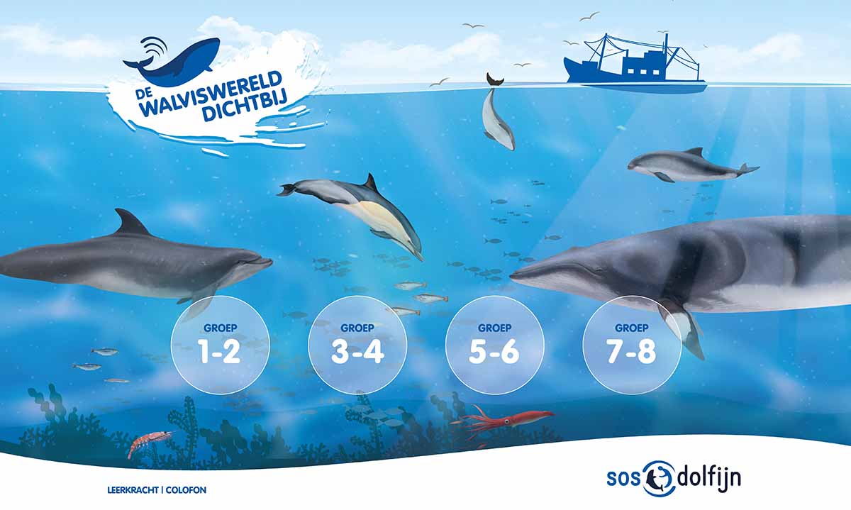 lichtgewicht Majestueus Dwang SOS Dolfijn ontwikkelt lespakket voor scholen – DuikeninBeeld