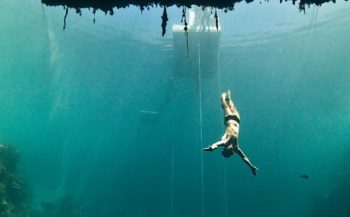 Freediving in spotlight tijdens International Ocean Film Tour