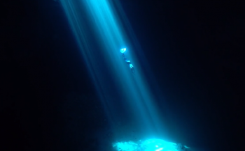 Liquid Dream - Freediven in hypnotiserende lichtstralen