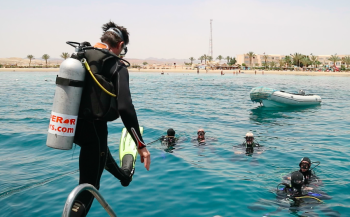 Summerlabb in Egypte - Op bezoek bij de redder van het koraalrif