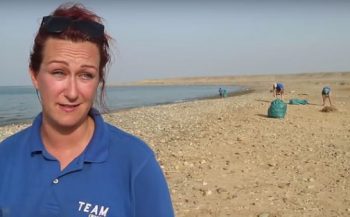 SummerLabb in Egypte: Strandschoonmaak