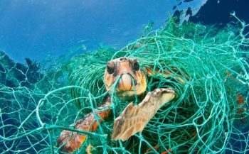 Middellandse Zee dreigt 'zee van plastic' te worden