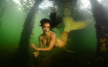 ONK Onderwaterfotografie 2018 - Masters - Groothoek met model