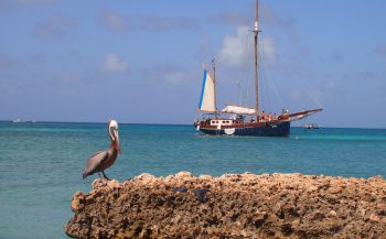 De vijf mooiste snorkelplaatsen van Aruba