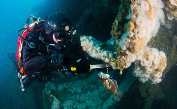 Expeditie Duik de Noordzee schoon - het verhaal achter de foto