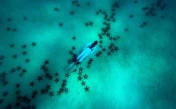 Melkweg van zeesterren - het verhaal achter de foto