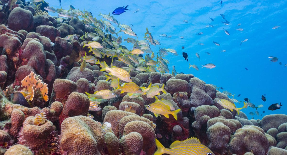 Bonaire. foto: Sander van der Heijden