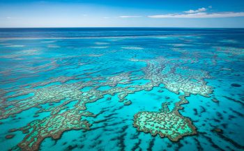 Great Barrier Reef - Percentage koraalbedekking nadert dieptepunt