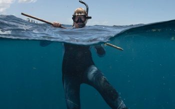 Saba haaienexpeditie 2019 - De heks en de haai