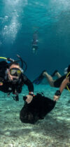 dive against debris Bonaire 15102019