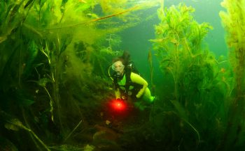 OBK Onderwaterfoto en -video 2020 - shoot-out