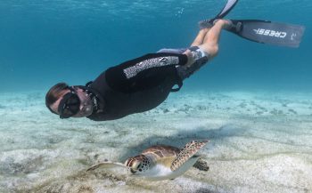 Freediven met Aruba's schildpadden