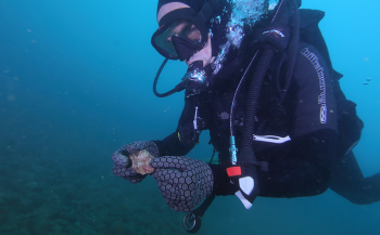 Onderwaterarcheologen ontdekken artefacten van Aboriginals