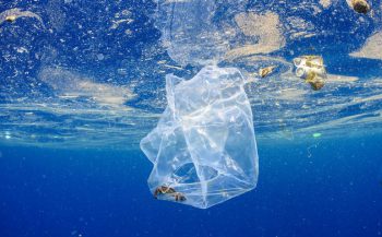 Interactieve kaart laat verspreiding plastic in oceanen zien