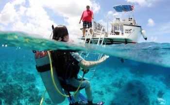 Zomerse reistip van Dive and Travel - Curaçao