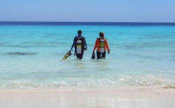 Zomerse reistip van Diving World - Bonaire